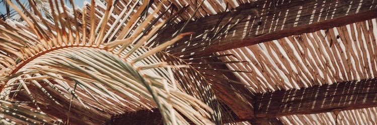 ohjasmyn's profile banner image