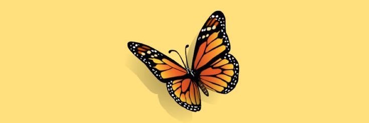hannahflorio's profile banner image