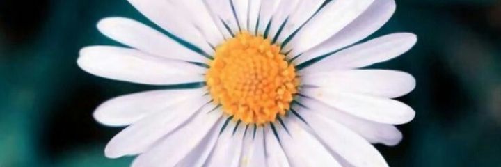 AyeRa2's profile banner image