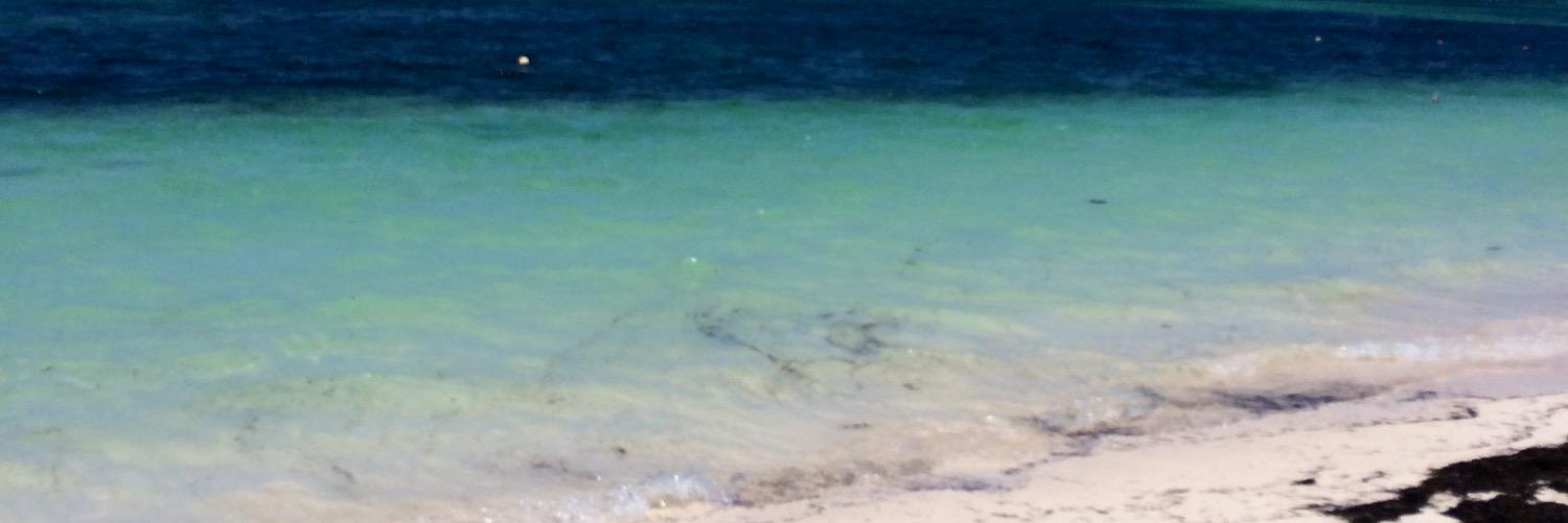 Gaurav Chopra banner