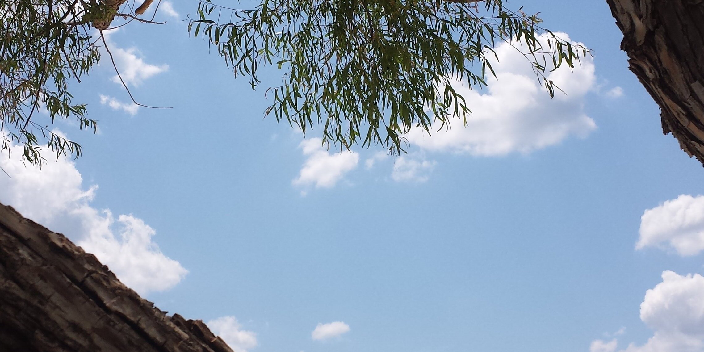Jessica_Leann92's profile banner image