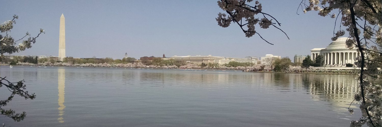 Lucas Dolan 🥥 🌴 banner