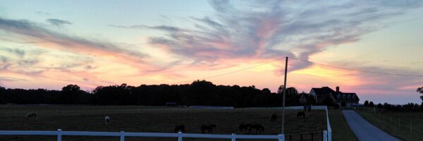 LadyCaseyAnne Profile Banner