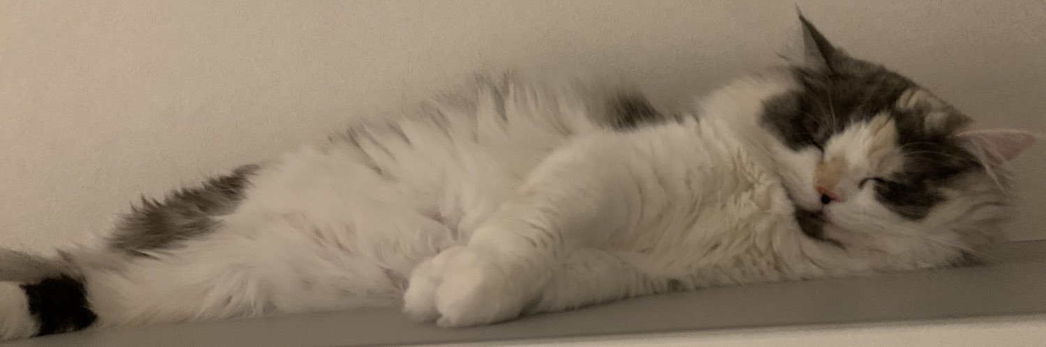alpharay_13's profile banner image