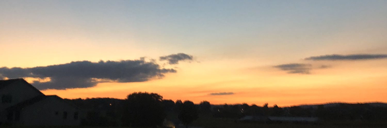 DelaneyVanhorn's profile banner image
