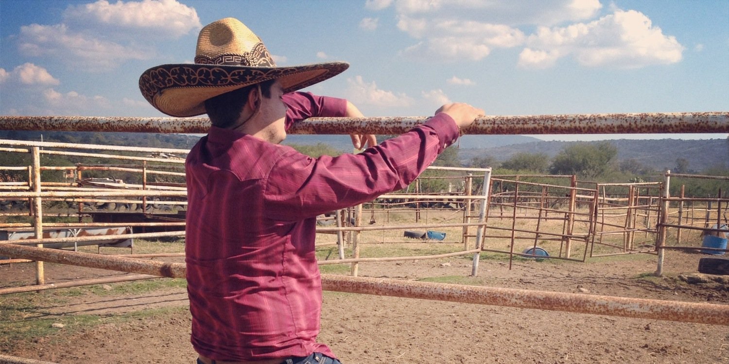 pedromeza99's profile banner image