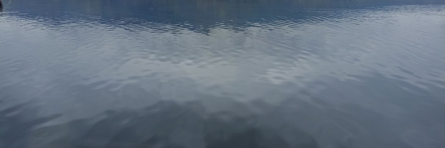 WillyDeCristo's profile banner image