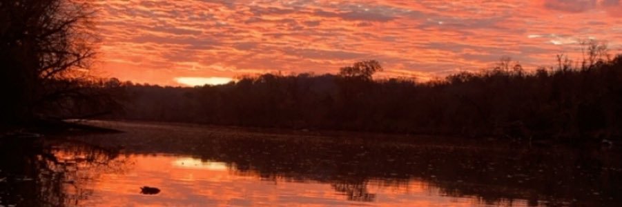 MasonUtterback's profile banner image