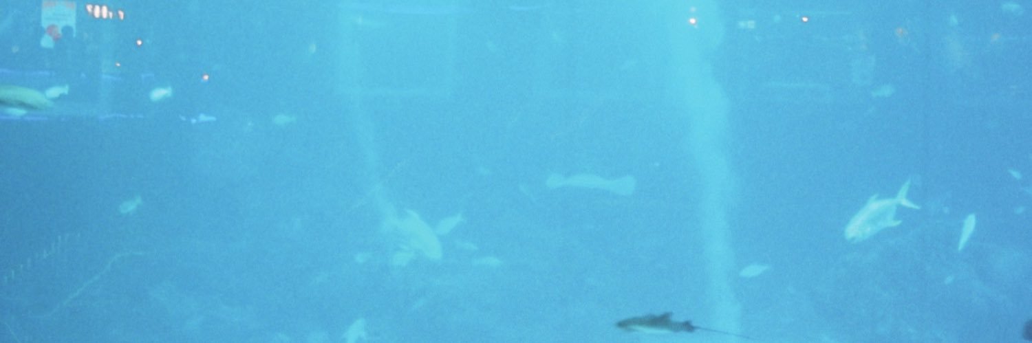 ohoerat_'s profile banner image
