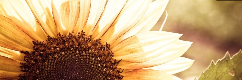 r_vaneee's profile banner image