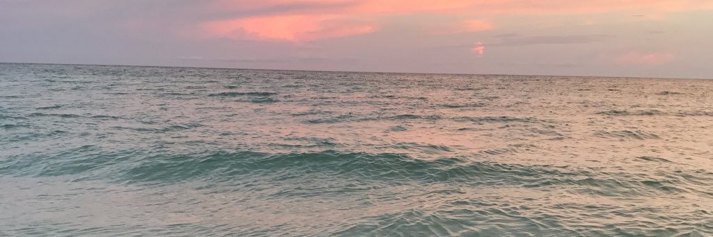 mcconnell_chels's profile banner image