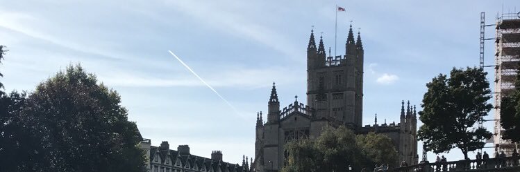 Roya Soleimanifar banner