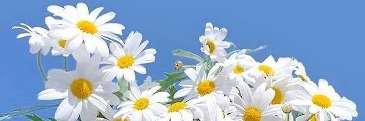 endahs__'s profile banner image