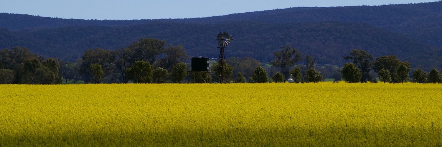 MezHawthorn's profile banner image