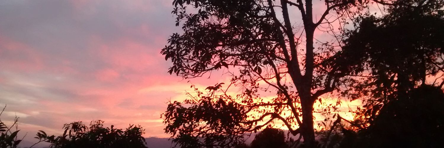 SumRem72's profile banner image