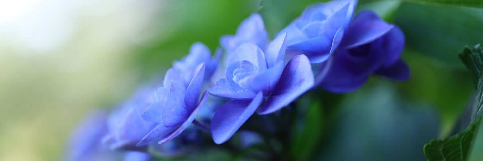 fms_yuri's profile banner image
