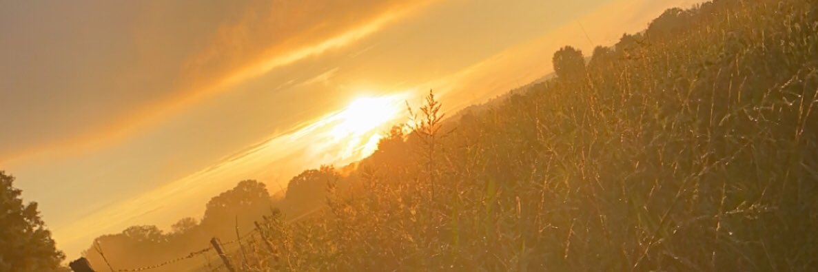 BasshamHannah's profile banner image