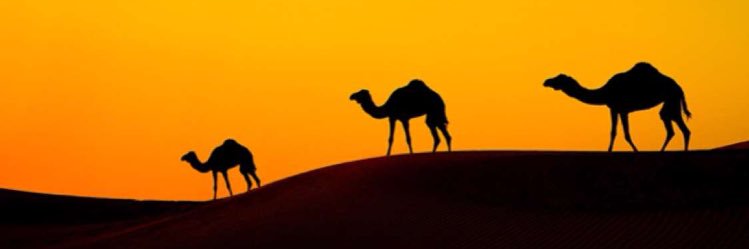 Brzaan23's profile banner image