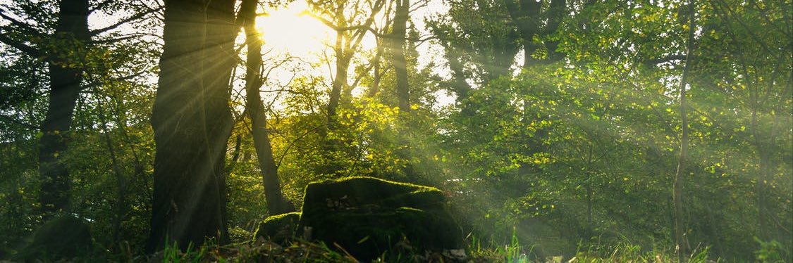 ConnerStone3's profile banner image