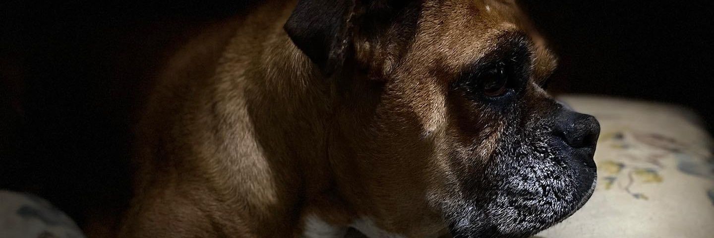 Nancy 💜💜💜🇺🇾 banner