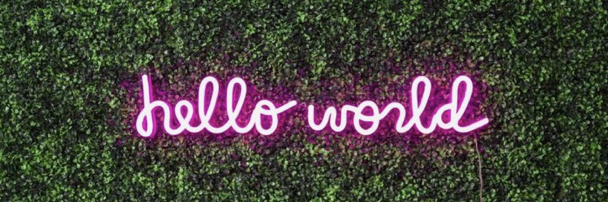 camilleroseeeee's profile banner image