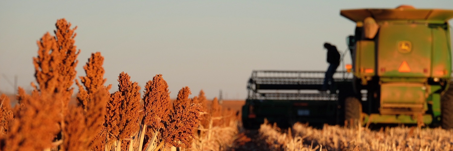 Railey Silhan banner