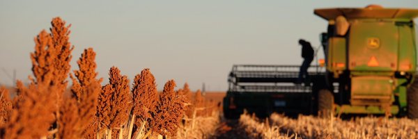 RaileyKayBrown Profile Banner