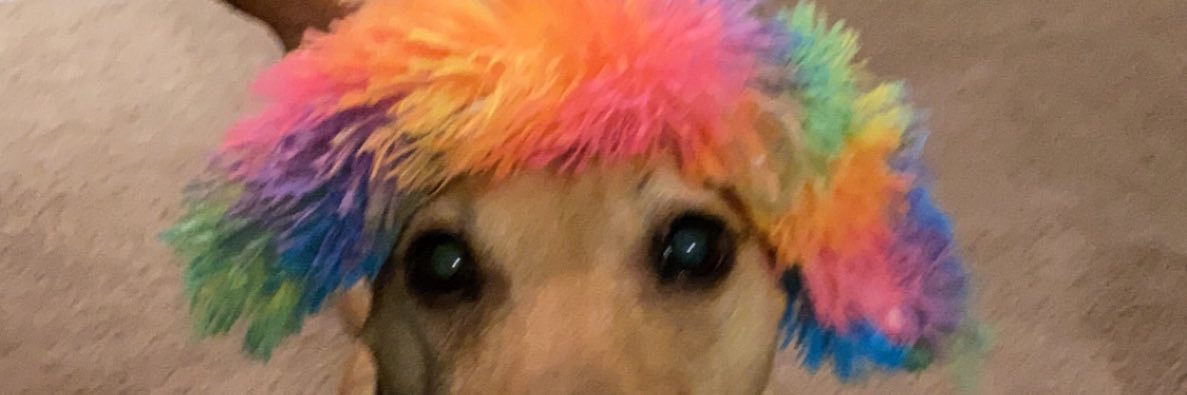jaydletheladle's profile banner image