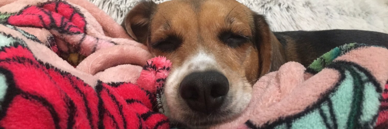 Claire Meskill banner