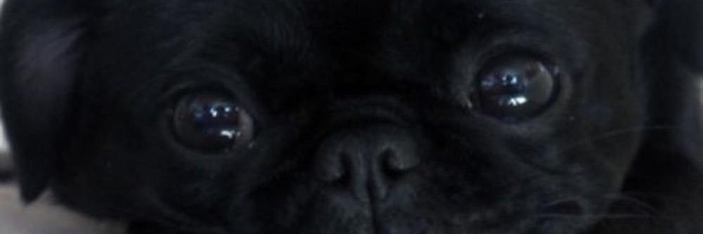 tungstenchede's profile banner image