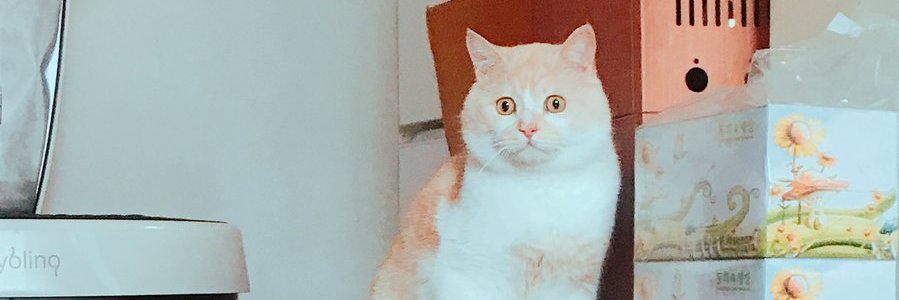 사랑해 뽀뽀또또 banner