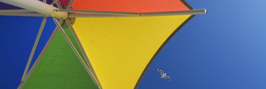 sonographe's profile banner image