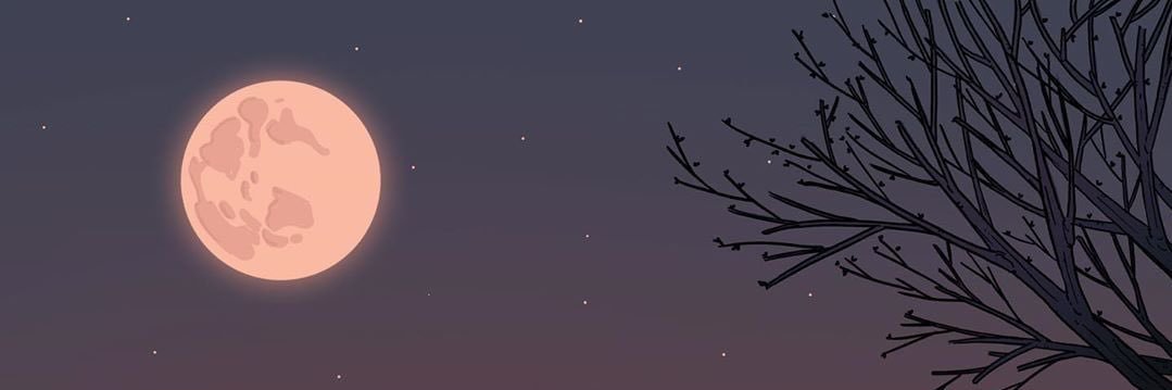 Albert19P's profile banner image