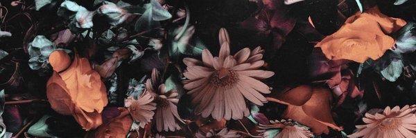 IamHadiyah's profile banner image