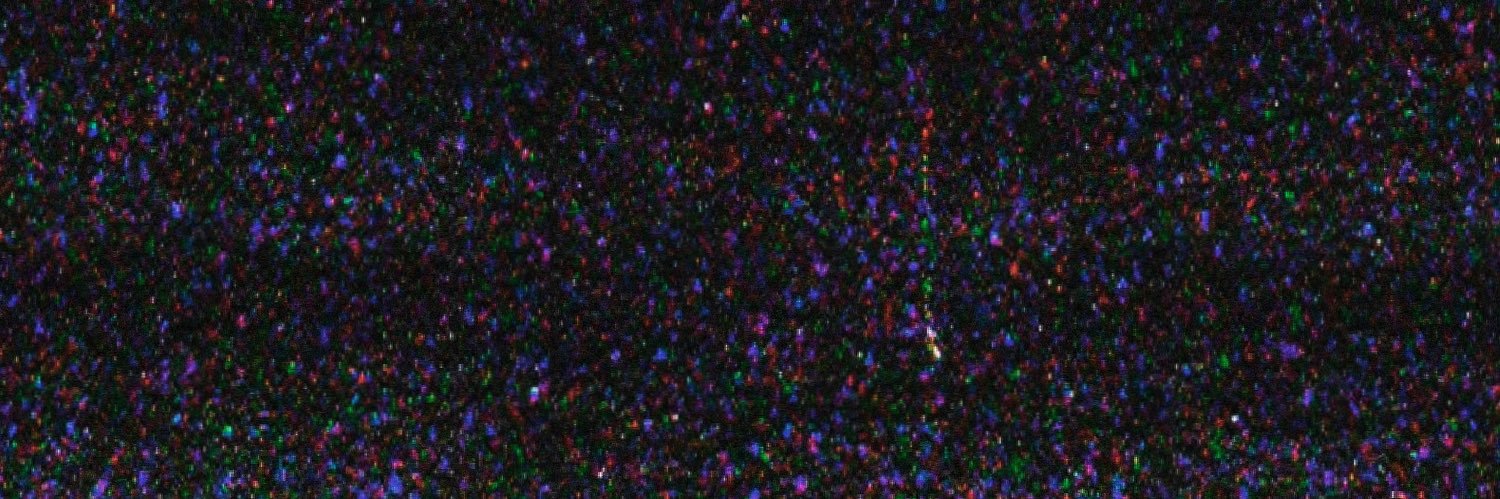 shyfrfr's profile banner image