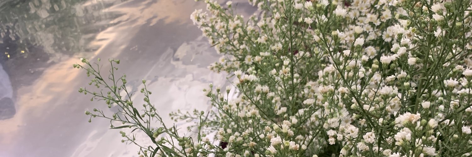 jeesceye's profile banner image