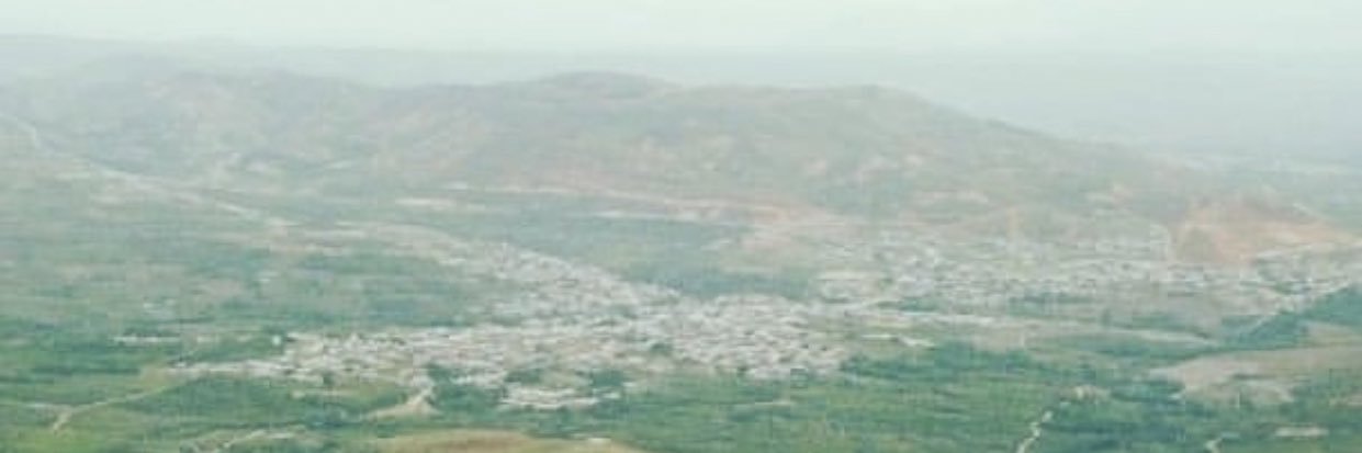 رضا حقيقت‌نژاد banner