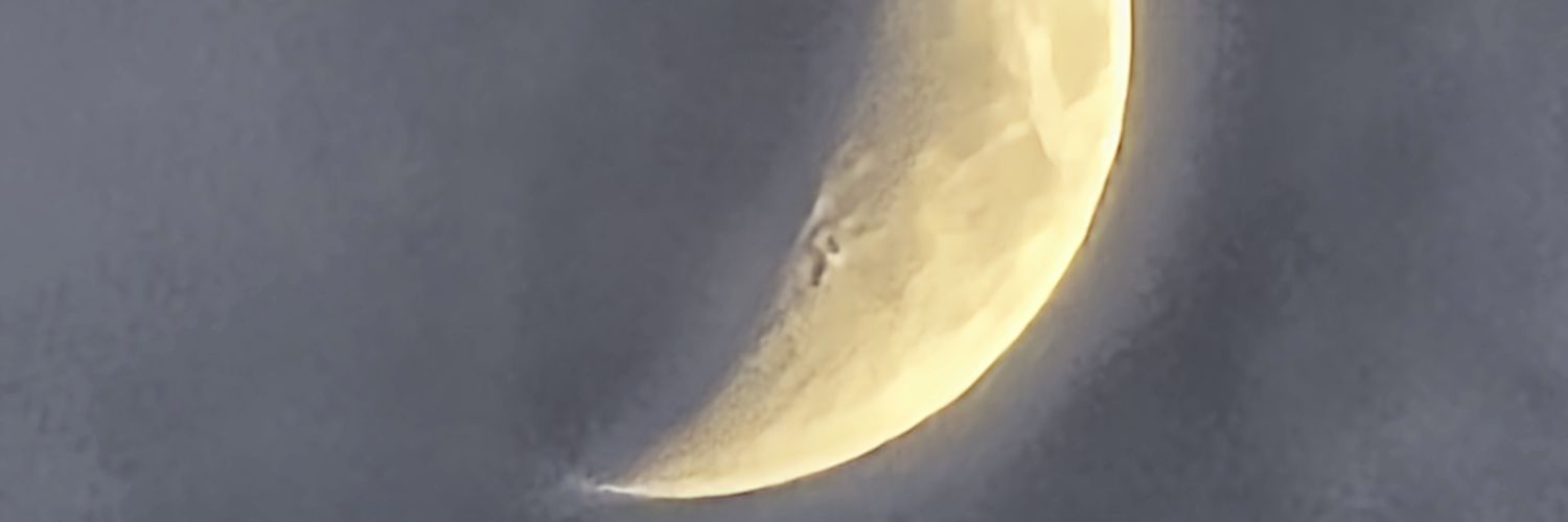 Edvin Bajrektarevic banner