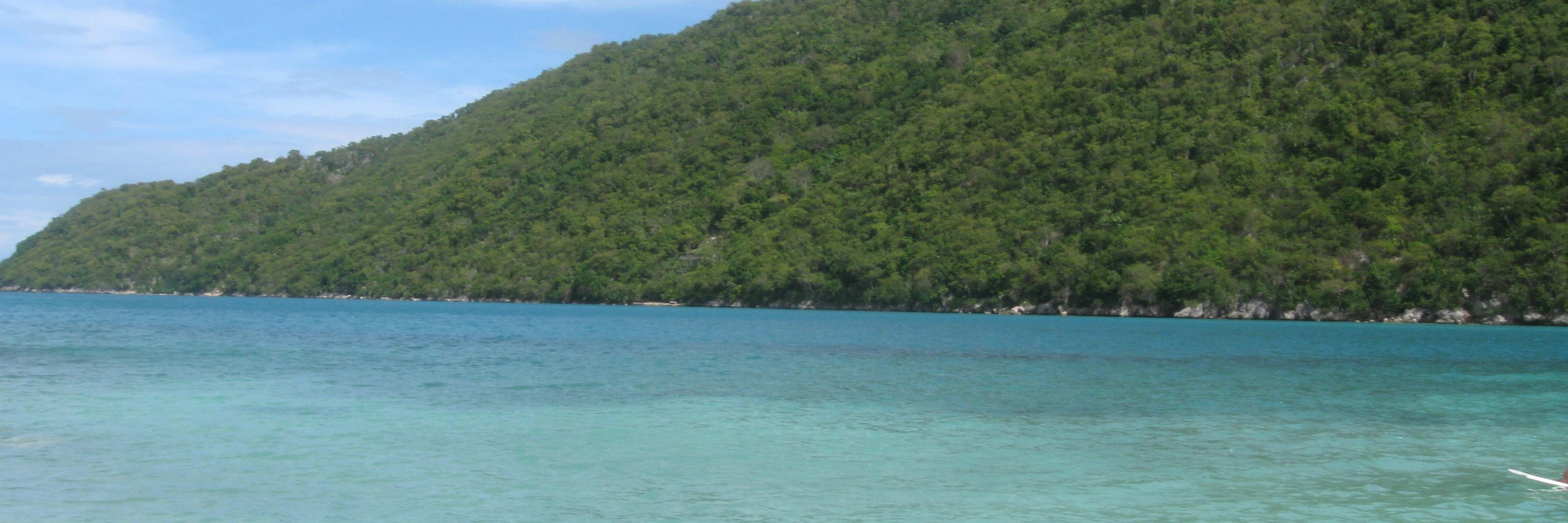 Helicanus's profile banner image