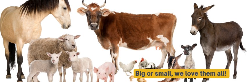 Johannesburg SPCA banner