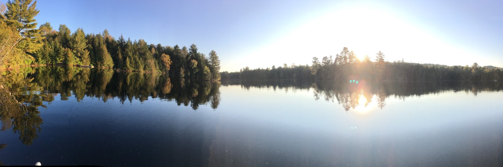 Damien Middleditch banner