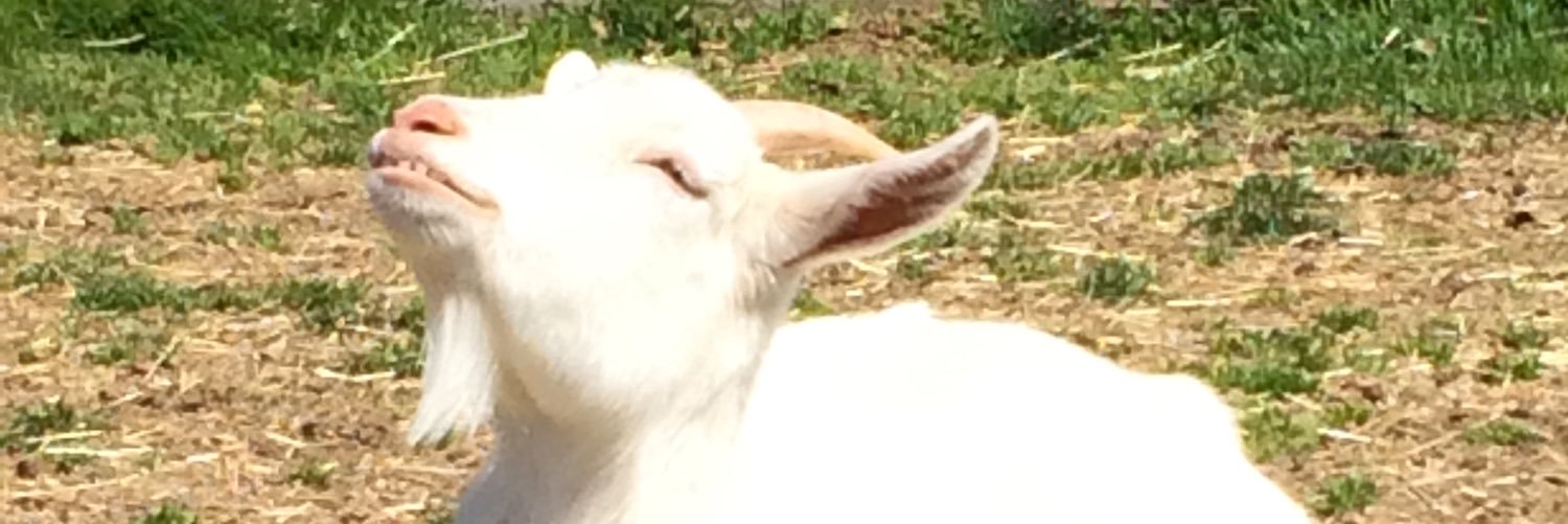 k3t24's profile banner image