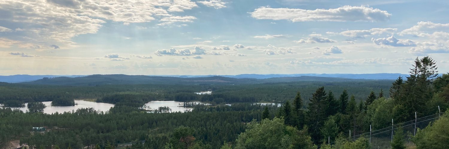 Magnus Larsson🧢 🇸🇪 banner
