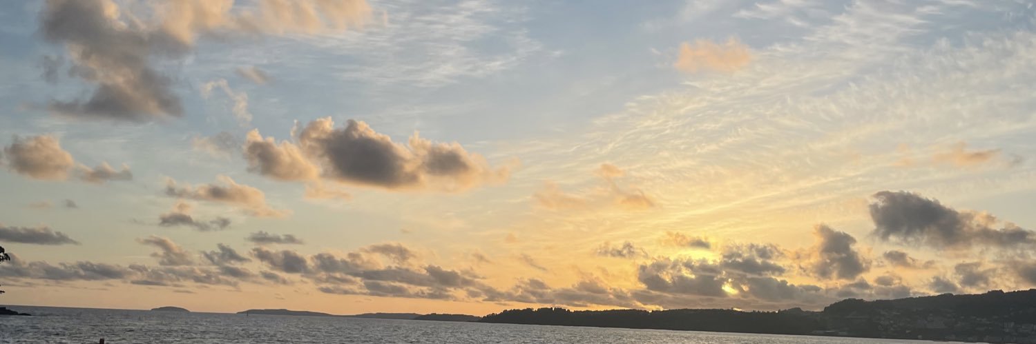 Angela_Diz's profile banner image