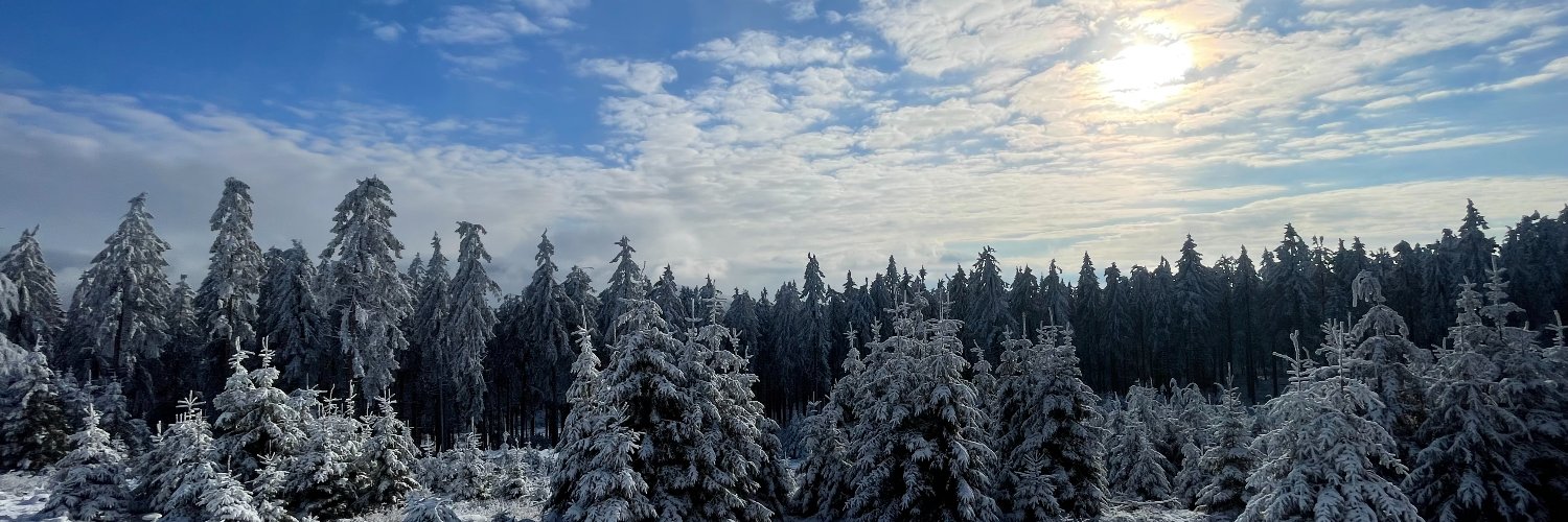 arnehulstein's profile banner image