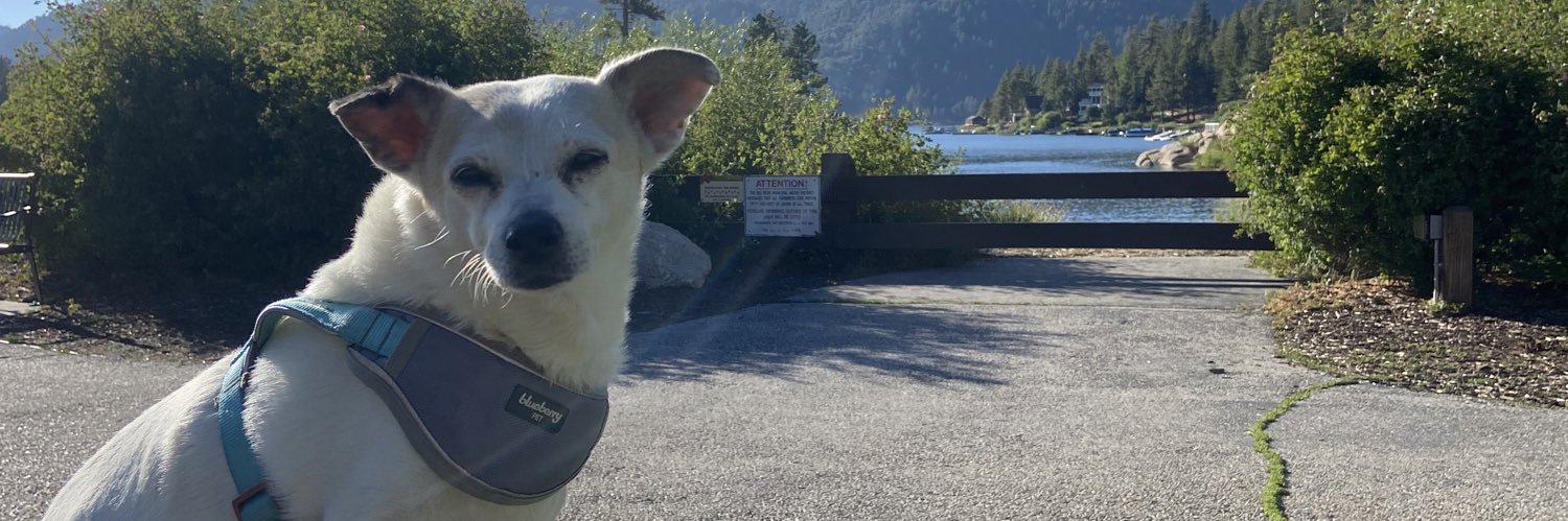 𝒥𝒶𝓈🌻 banner