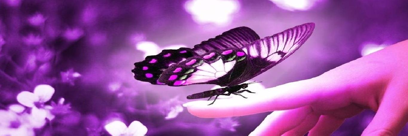aniika93's profile banner image