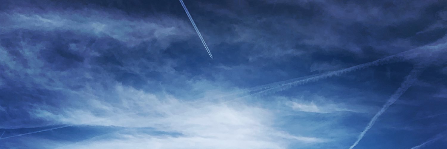 Anne Heidi banner
