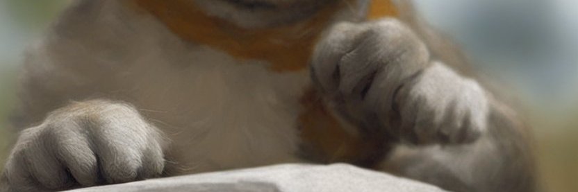 spekit's profile banner image