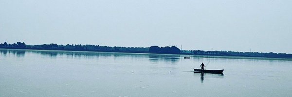 dezinebee Profile Banner